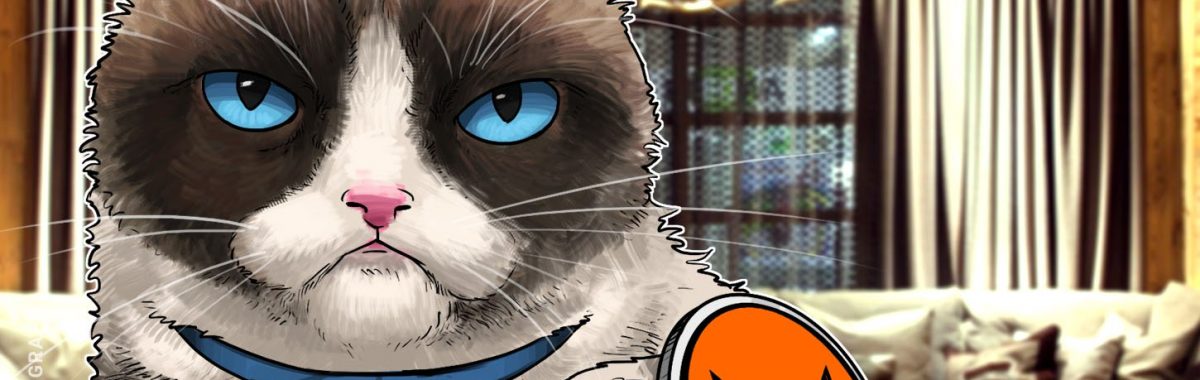 Another Exchange Delists Monero Amid Ongoing Sex Scandal